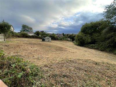Picture 28